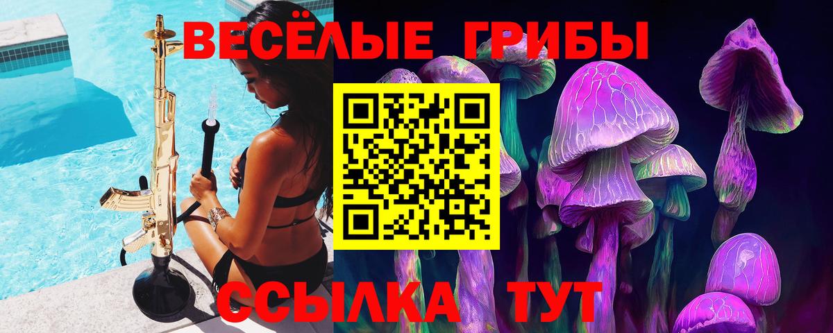 Псилоцибиновые грибы Psilocybe  цены наркотик  Галлюциногенные грибы MAGIC MUSHROOMS  Мирный  Вход с VPN 
